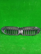 GRILL ATRAPA BEM 3 G20 G21 192976-10