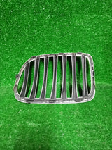 GRILL ATRAPA PRAWA NERKA BMW X1 10627110