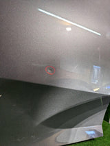 DRZWI TYLNE PRAWE PRAWY TYŁ HONDA CIVIC X HB NR.3434