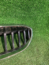 GRILL ATRAPA BMW 3 G20 G21