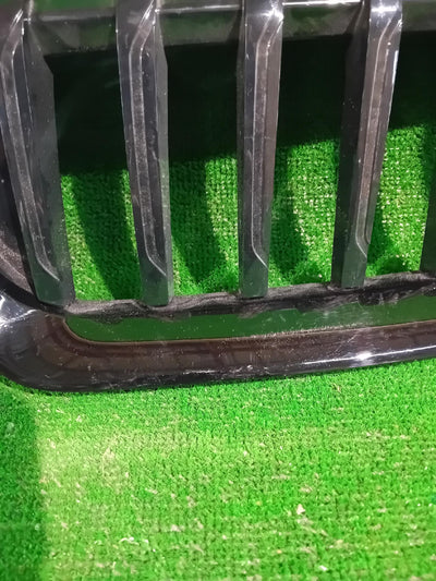 GRILL ATRAPA BEM 3 G20 G21 192976-10