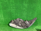 REFLEKTOR PRAWY FORD FOCUS MK3 nr:462