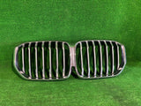 GRILL ATRAPA BMW X5 G05