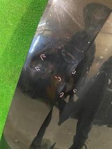 POKRYWA SILNIKA MASKA A6 C7 11-18