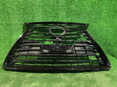 GRILL ATRAPA LEXUS NX LIFT 17-