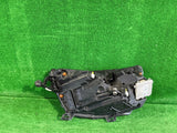 REFLEKTOR PRAWY SKODA KAMIQ nr:388
