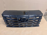 GRILL ATRAPA HYUNDAI TUCSON IV nr.00