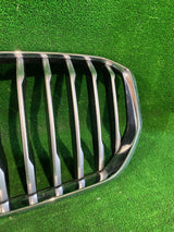 GRILL ATRAPA BMW X5 G05