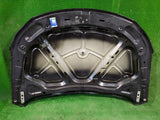 MASKA POKRYWA SILNIKA VW PASSAT CC 08-12 NR.19