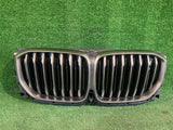 BMW X5 G05 ŻALUZJA ROLETA GRILL NERKI ATRAPA NR.0151