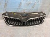 GRILL ATRAPA SKODA RAPID 12-19 nr.00
