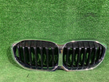 GRILL ATRAPA BMW 1 F40