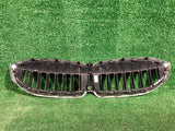 GRILL ATRAPA BMW 3 G20 G21