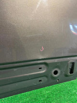 DRZWI PRZEDNIE PRAWE RENAULT SCENIC III NR.1917