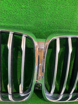 GRILL ATRAPA BMW X5 G05