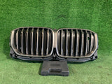 BMW X5 G05 ŻALUZJA ROLETA GRILL NERKI ATRAPA NR.0151