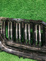 GRILL ATRAPA SKODA KODIAQ 565 NR.001
