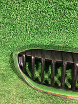 GRILL ATRAPA BMW 3 G20 G21