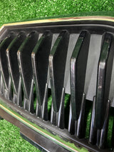 GRILL ATRAPA SKODA FABIA IV