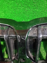 GRILL ATRAPA BEM 3 G20 G21 192976-10