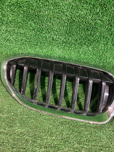 GRILL ATRAPA BMW 3 G20 G21