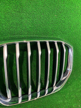 GRILL ATRAPA BMW X5 G05