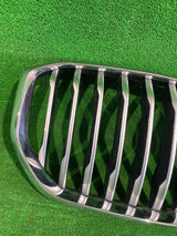 GRILL ATRAPA BMW X5 G05