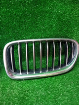 GRILL NERKA BMW 5 F10 F11 LIFT KOMPLET