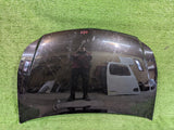 MASKA POKRYWA SILNIKA SUZUKI SX4 FIAT SEDICI 06- NR.170