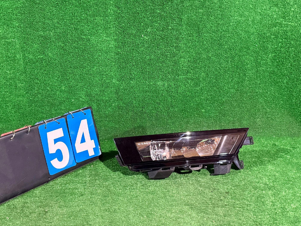 HALOGEN PRAWY SKODA RAPID NR:54